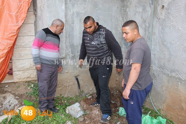 modahama lud 0216 (15).JPG